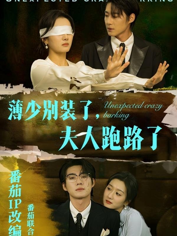 短剧《薄少别装了夫人跑路了（60集）赵振栋＆柳卓青》全集免费在线观看