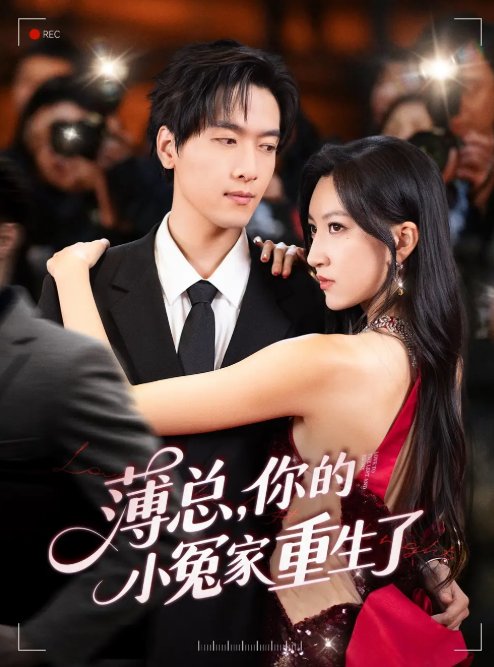 短剧《薄总，你的小冤家重生了&薄总你的小冤家重生了（67集）陆路＆韩非儿》全集免费在线观看