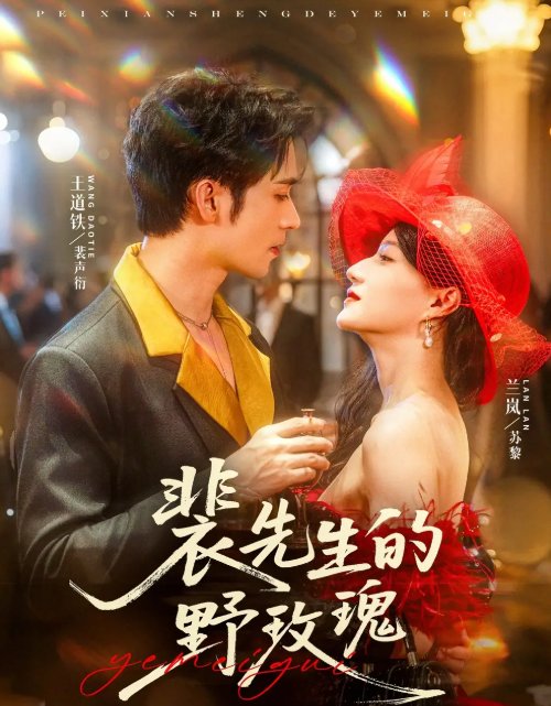 短剧《裴先生的野玫瑰（72集）兰岚&王道铁》全集免费在线观看