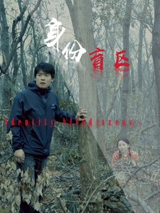 短剧《身份盲区（12集）》全集免费在线观看