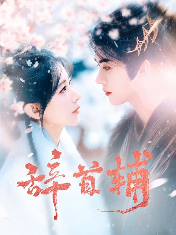 短剧《辞首辅（80集）杨弋墨》全集免费在线观看