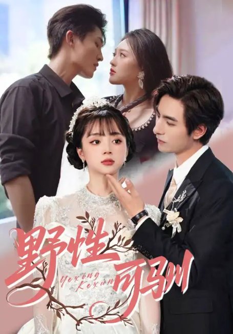 短剧《野性可驯（63集）李豪&蔡淼燕》全集免费在线观看