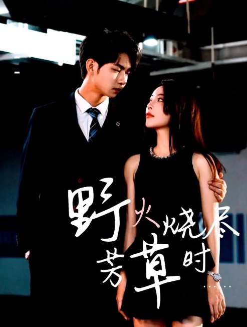 短剧《野火烧尽芳草时（65集）黄垚＆闫妍》全集免费在线观看