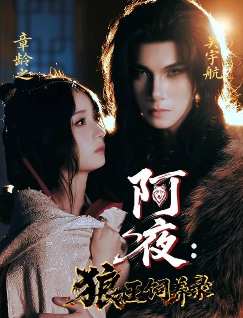 短剧《阿夜狼王饲养录（67集）吴宇航＆章龄之》全集免费在线观看