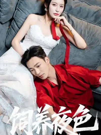 短剧《饲养夜色（86集）姚冠宇＆陈思澈》全集免费在线观看